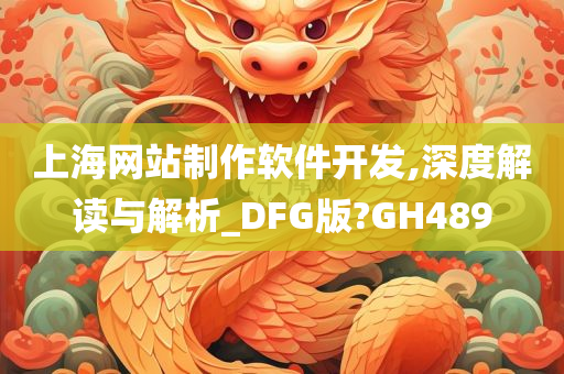 上海网站制作软件开发,深度解读与解析_DFG版?GH489