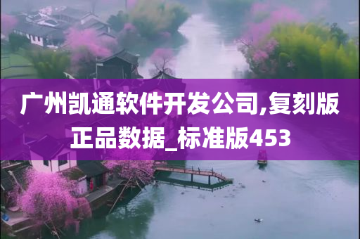 广州凯通软件开发公司,复刻版正品数据_标准版453