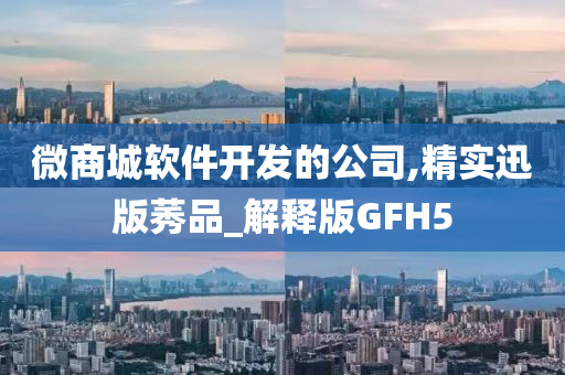 微商城软件开发的公司,精实迅版莠品_解释版GFH5