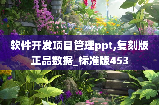 软件开发项目管理ppt,复刻版正品数据_标准版453