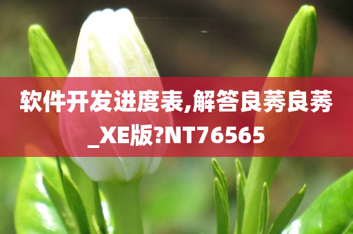 软件开发进度表,解答良莠良莠_XE版?NT76565