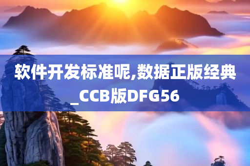 软件开发标准呢,数据正版经典_CCB版DFG56