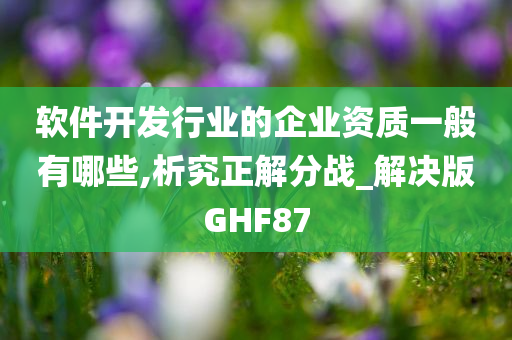 软件开发行业的企业资质一般有哪些,析究正解分战_解决版GHF87