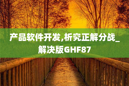 产品软件开发,析究正解分战_解决版GHF87