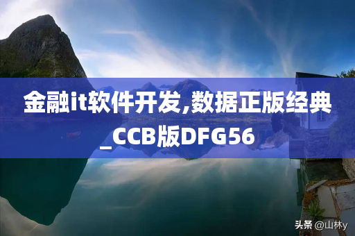 金融it软件开发,数据正版经典_CCB版DFG56