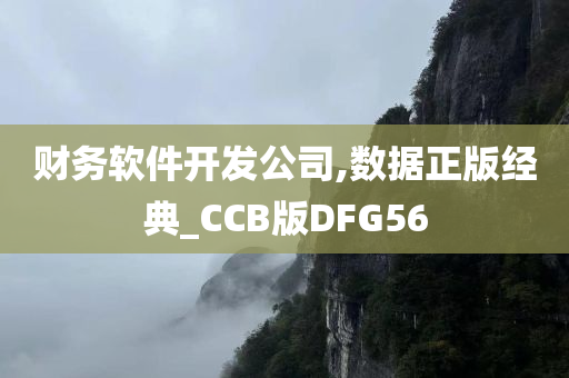 财务软件开发公司,数据正版经典_CCB版DFG56