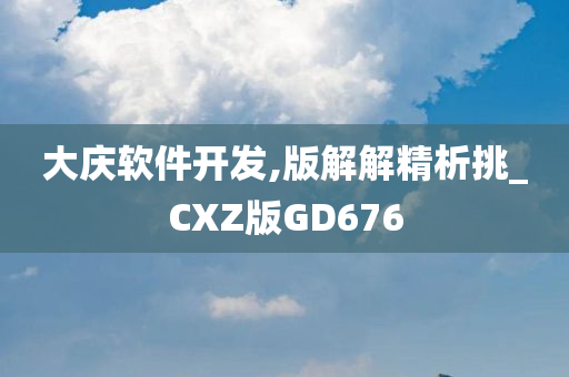 大庆软件开发,版解解精析挑_CXZ版GD676