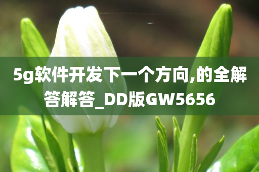 5g软件开发下一个方向,的全解答解答_DD版GW5656