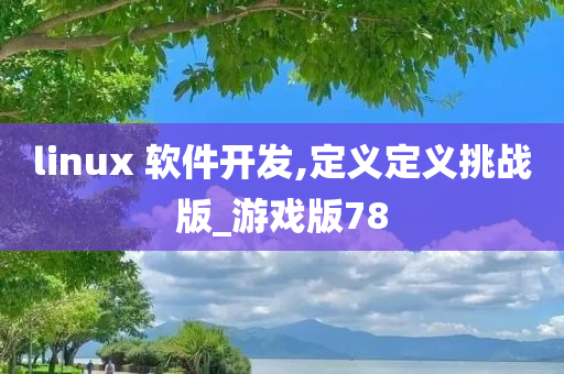 linux 软件开发,定义定义挑战版_游戏版78