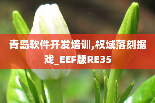 青岛软件开发培训,权域落刻据戏_EEF版RE35