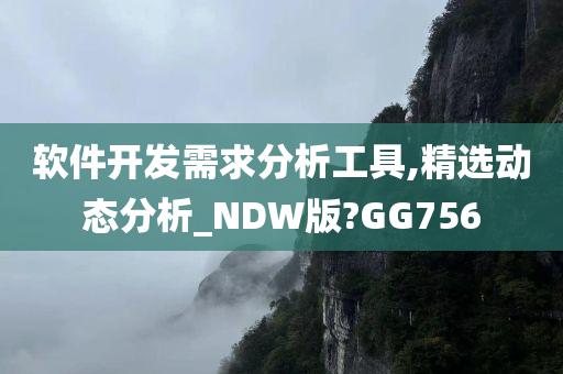 软件开发需求分析工具,精选动态分析_NDW版?GG756