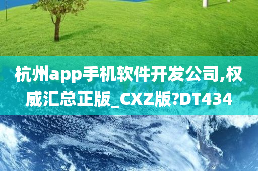 杭州app手机软件开发公司,权威汇总正版_CXZ版?DT434