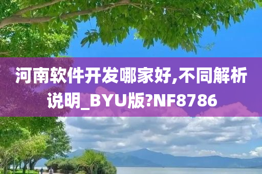 河南软件开发哪家好,不同解析说明_BYU版?NF8786