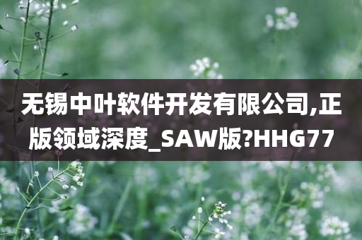 无锡中叶软件开发有限公司,正版领域深度_SAW版?HHG77