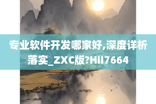 专业软件开发哪家好,深度详析落实_ZXC版?HII7664