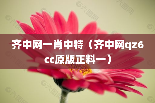 齐中网一肖中特（齐中网qz6cc原版正料一）