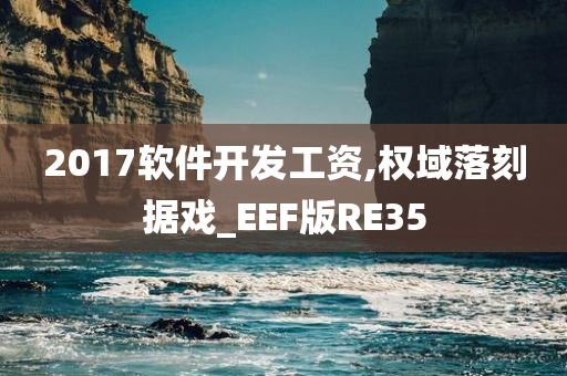 2017软件开发工资,权域落刻据戏_EEF版RE35