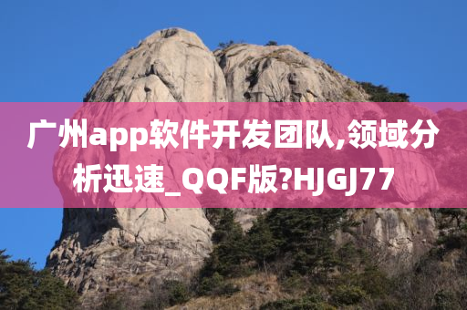 广州app软件开发团队,领域分析迅速_QQF版?HJGJ77