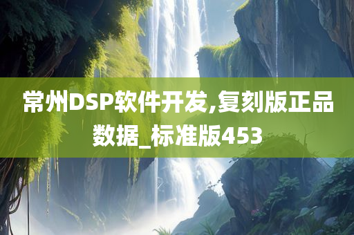 常州DSP软件开发,复刻版正品数据_标准版453