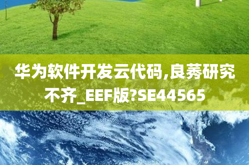 华为软件开发云代码,良莠研究不齐_EEF版?SE44565