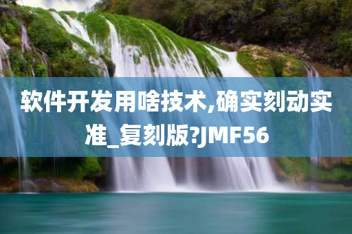 软件开发用啥技术,确实刻动实准_复刻版?JMF56