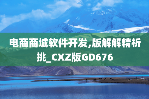 电商商城软件开发,版解解精析挑_CXZ版GD676