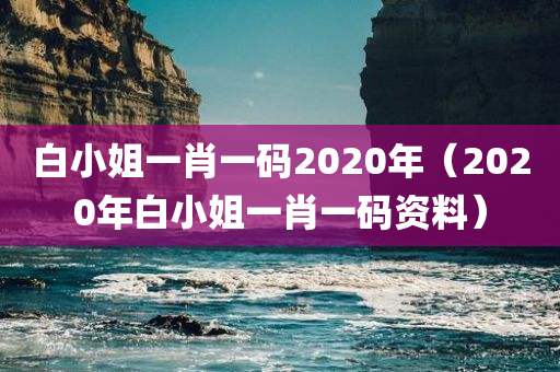 白小姐一肖一码2020年（2020年白小姐一肖一码资料）