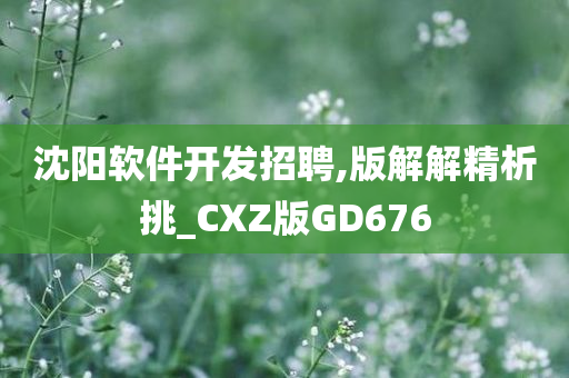 沈阳软件开发招聘,版解解精析挑_CXZ版GD676