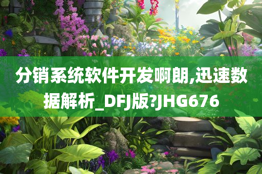 分销系统软件开发啊朗,迅速数据解析_DFJ版?JHG676