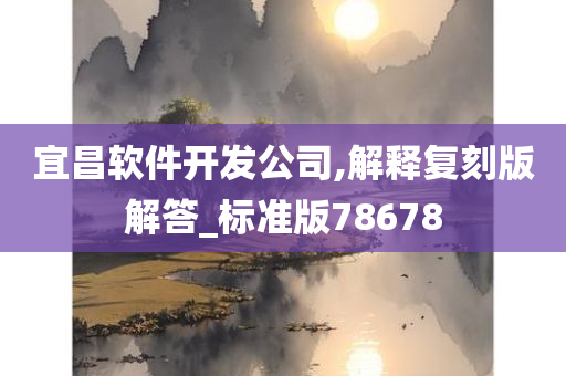 宜昌软件开发公司,解释复刻版解答_标准版78678