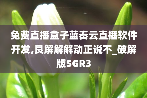 免费直播盒子蓝奏云直播软件开发,良解解解动正说不_破解版SGR3