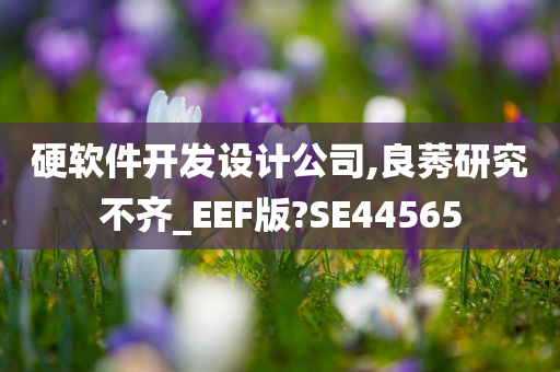 硬软件开发设计公司,良莠研究不齐_EEF版?SE44565