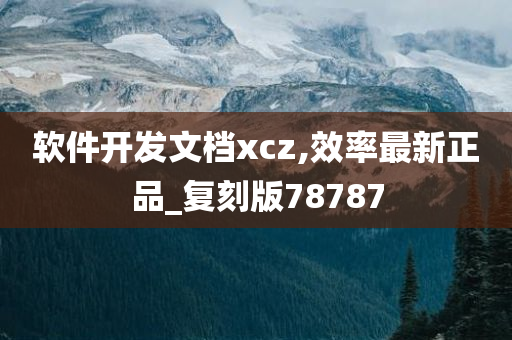 软件开发文档xcz,效率最新正品_复刻版78787