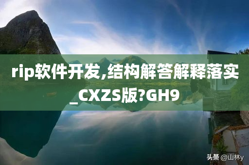 rip软件开发,结构解答解释落实_CXZS版?GH9