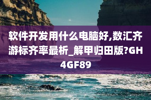 软件开发用什么电脑好,数汇齐游标齐率最析_解甲归田版?GH4GF89