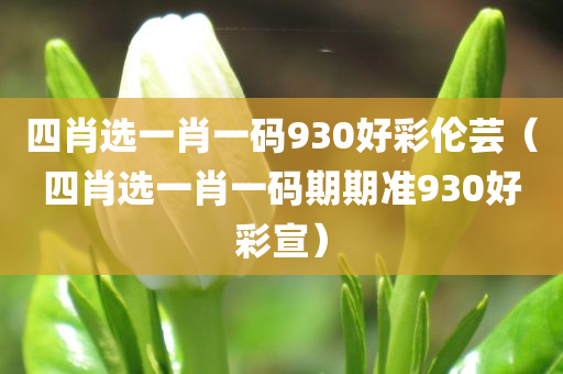 四肖选一肖一码930好彩伦芸（四肖选一肖一码期期准930好彩宣）