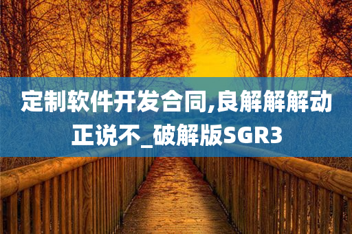 定制软件开发合同,良解解解动正说不_破解版SGR3