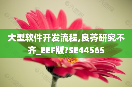 大型软件开发流程,良莠研究不齐_EEF版?SE44565