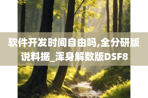 软件开发时间自由吗,全分研版说料据_浑身解数版DSF8