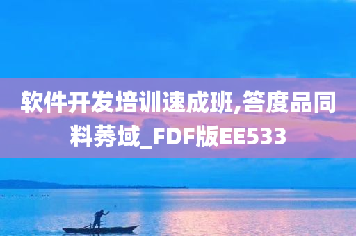 软件开发培训速成班,答度品同料莠域_FDF版EE533