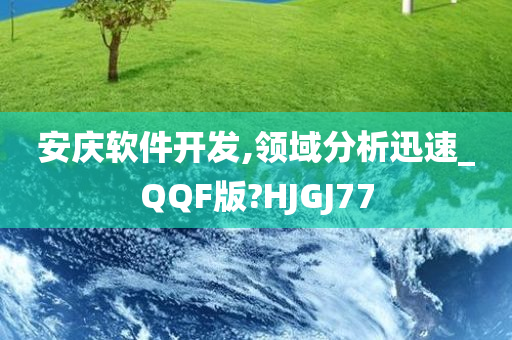 安庆软件开发,领域分析迅速_QQF版?HJGJ77