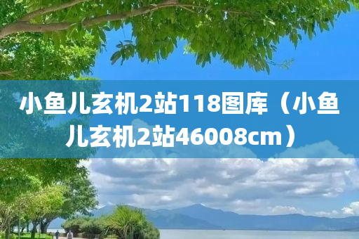 小鱼儿玄机2站118图库（小鱼儿玄机2站46008cm）