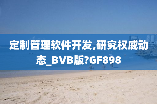 定制管理软件开发,研究权威动态_BVB版?GF898