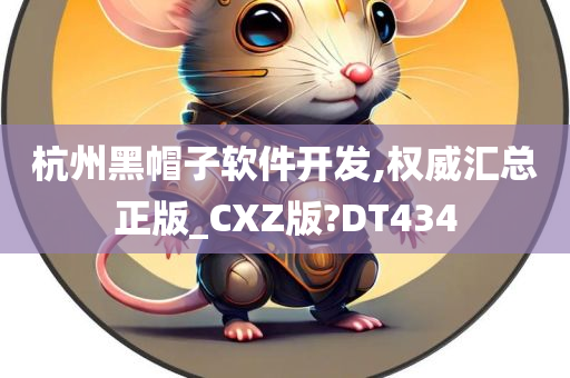 杭州黑帽子软件开发,权威汇总正版_CXZ版?DT434