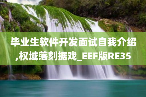 毕业生软件开发面试自我介绍,权域落刻据戏_EEF版RE35