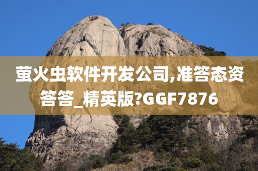 萤火虫软件开发公司,准答态资答答_精英版?GGF7876