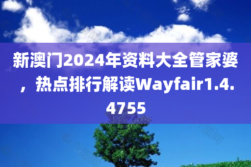 新澳门2024年资料大全管家婆，热点排行解读Wayfair1.4.4755