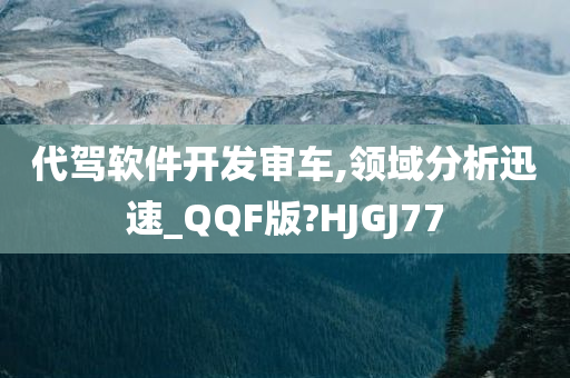 代驾软件开发审车,领域分析迅速_QQF版?HJGJ77