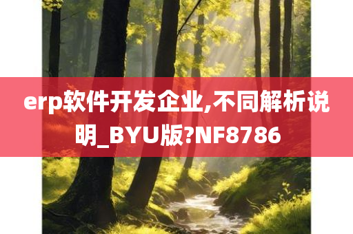 erp软件开发企业,不同解析说明_BYU版?NF8786