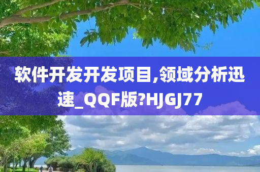 软件开发开发项目,领域分析迅速_QQF版?HJGJ77